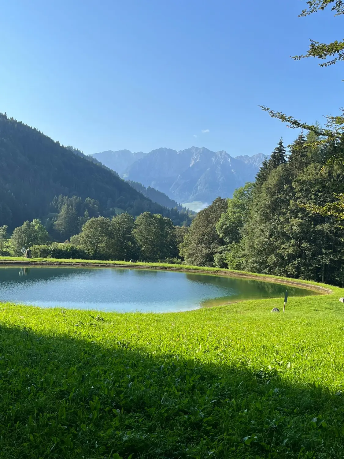 Ferienwohnung panorama - Außenansicht des Ferienhauses