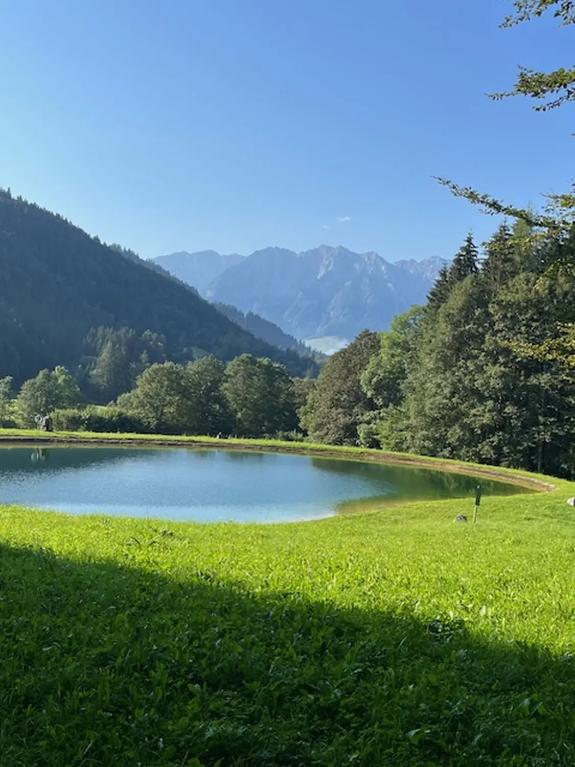 Ferienwohnung panorama - Außenansicht des Ferienhauses